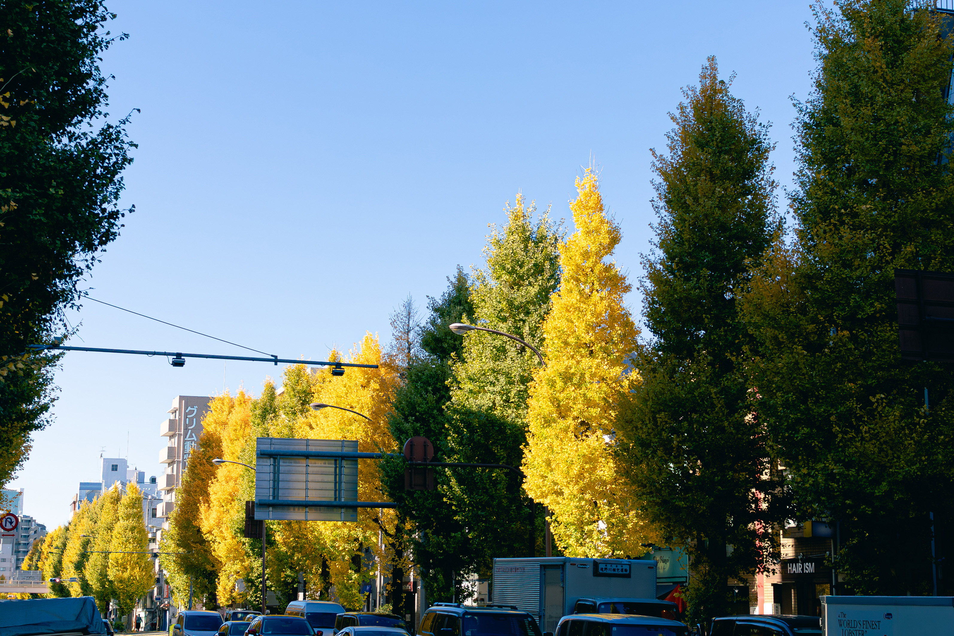 河北家庭医療学センター
