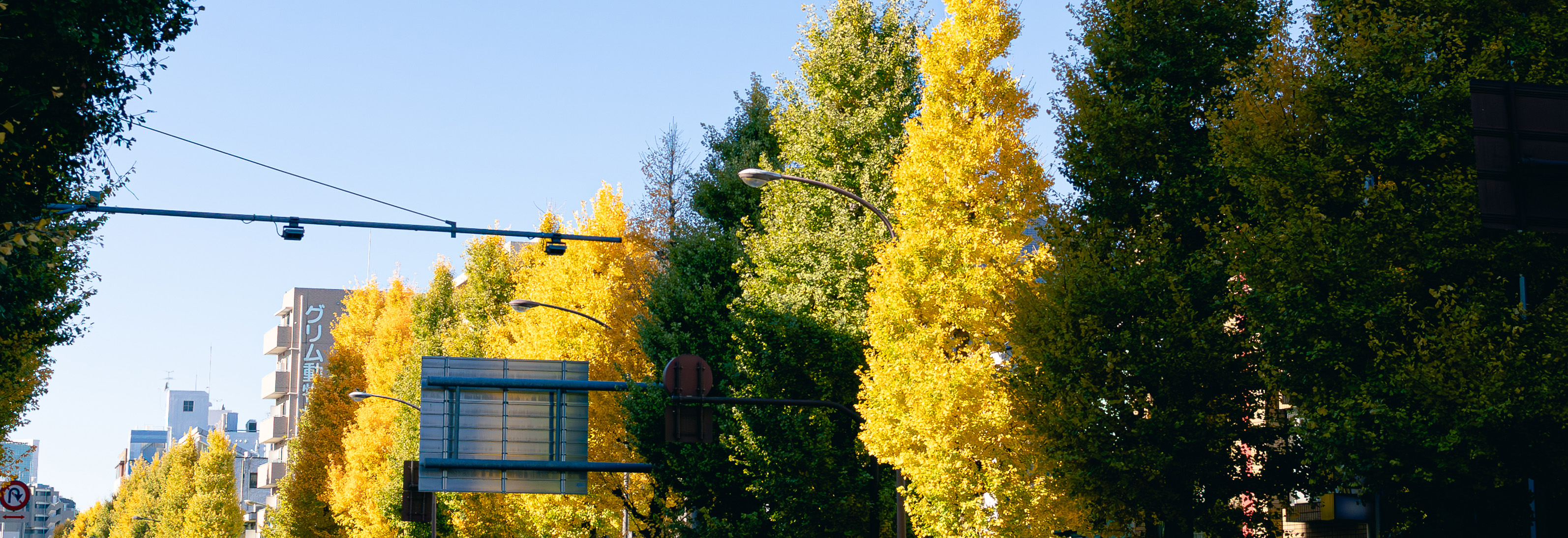 キャリアも家庭も諦めない！チームで支え合うから両立できる