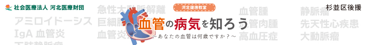 河北健康教室 血管の病気を知ろう~あなたの血管は何歳ですか?~